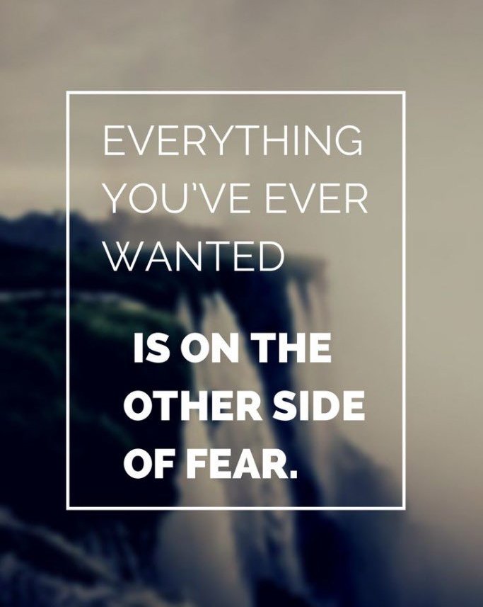 Everything you've ever wanted, is on the other side of fear.