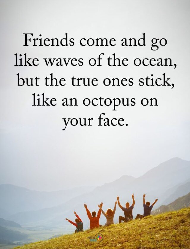 Friends come and go like waves of the ocean, but the true ones stick, like an octopus on your face.
